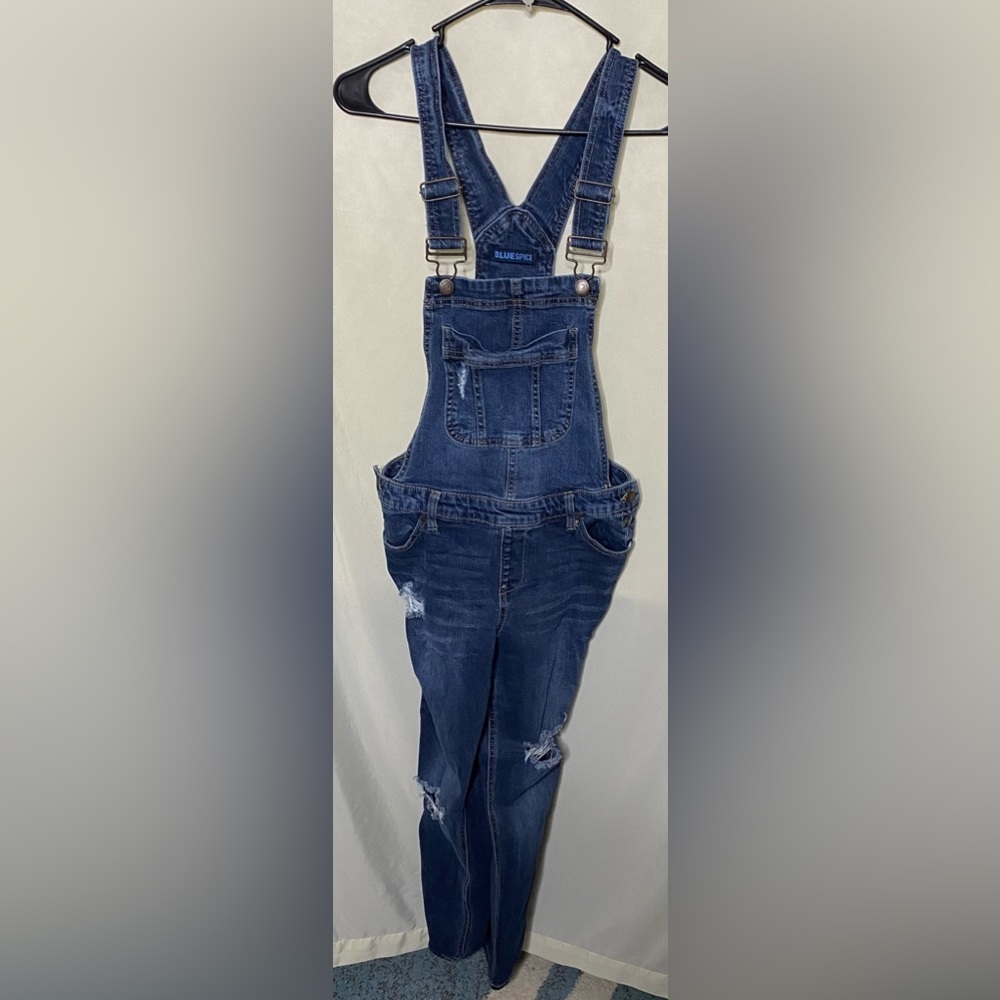 Blue Spice Overalls